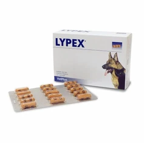 Vetbros Lypex - 60 capsule