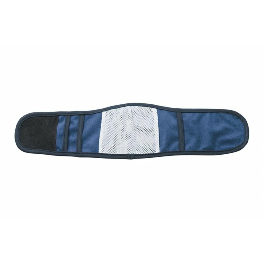 Fascia per Cani Maschi Blu TG 1 - CAMON