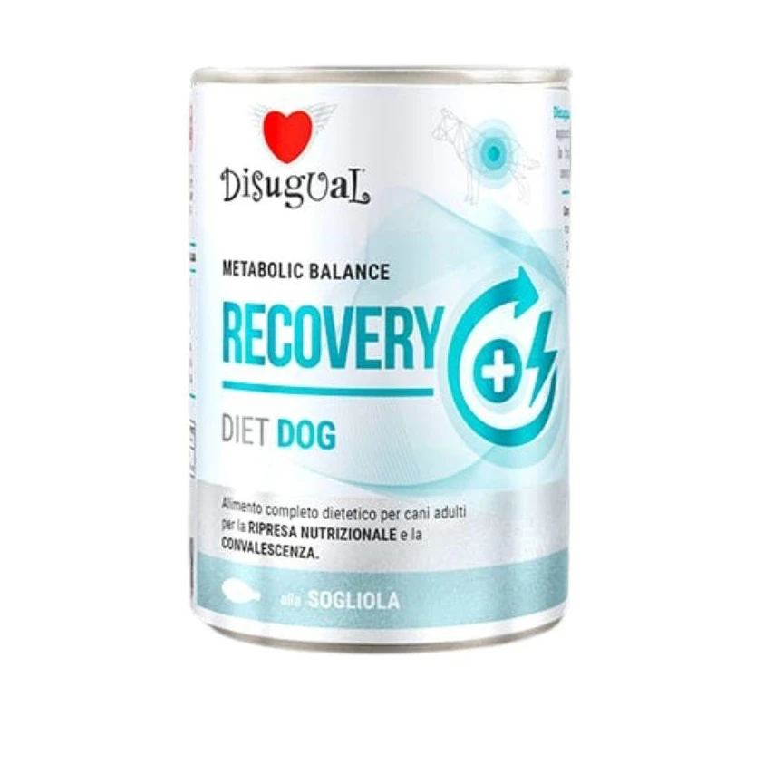 Disigual Dog Diet Recovery 400g - Sogliola