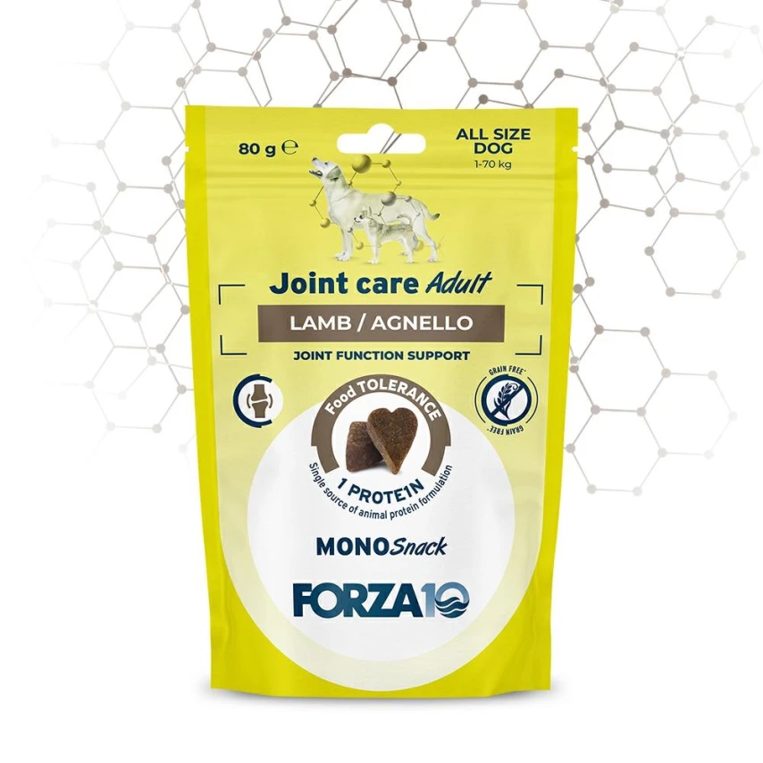 Forza10 Snack per Cani Joint Care all'Agnello 80 g