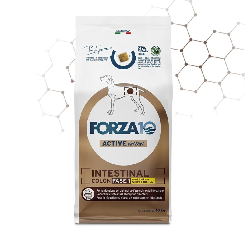 Forza10 Intestinal Colon Fase 1 Agnello/Sorgo 10 kg