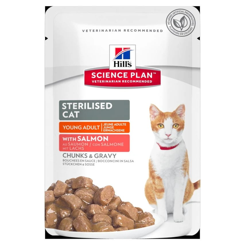 Hill's Sterilized al Salmone per Gatti - 12 buste da 85 g
