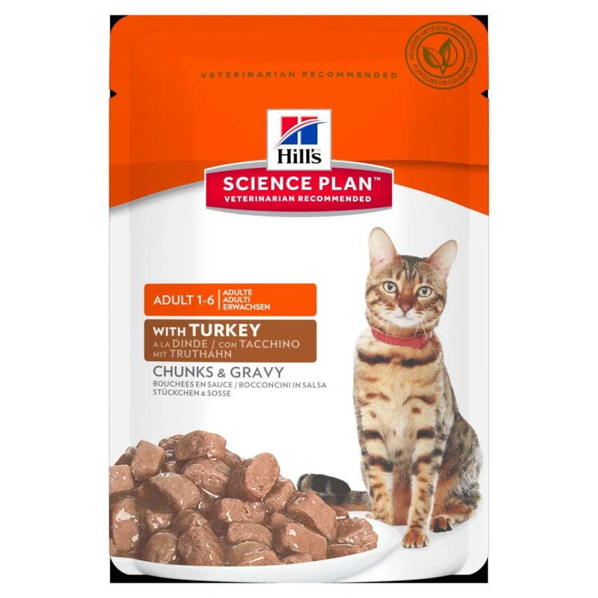 Hill's Gatto Bustine Mantenimento al Tacchino 12 x 85 g