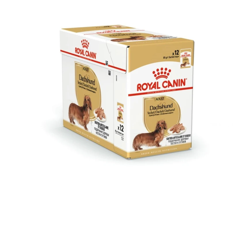 Royal Canin Dachshund umido per cane - 12 x 85 g