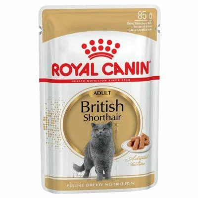 Royal Canin British Shorthair Buste 12 x 85 g