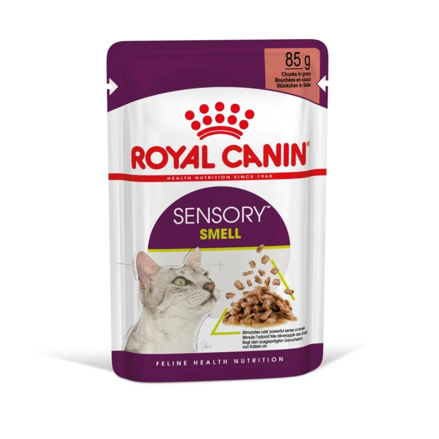 Royal Canin Sensory Smell Cat Gravy - Buste per gatti 12 x 85 g
