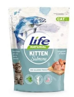Lifecat Kitten Salmone 800 g - Lifepet