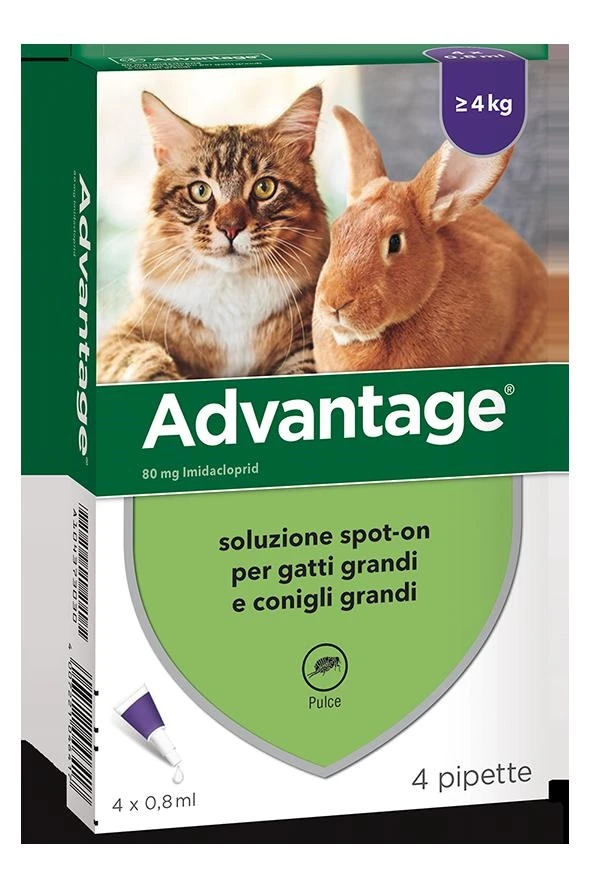 Elanco Advantage 80 per gatti - Antiparassitario