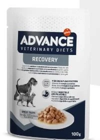Advance Dog/Cat Recovery 11 x 100 g