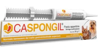 Caspongil Pasta 30g - Shedirpharma