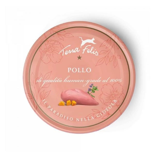 Terra Felis Umido Pollo 80g - Terracanis