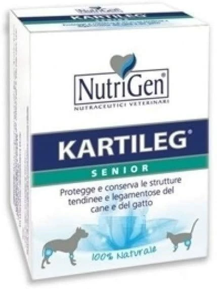 Kartileg Senior 120 Tavolettes 1g - Nutrigen Gainte