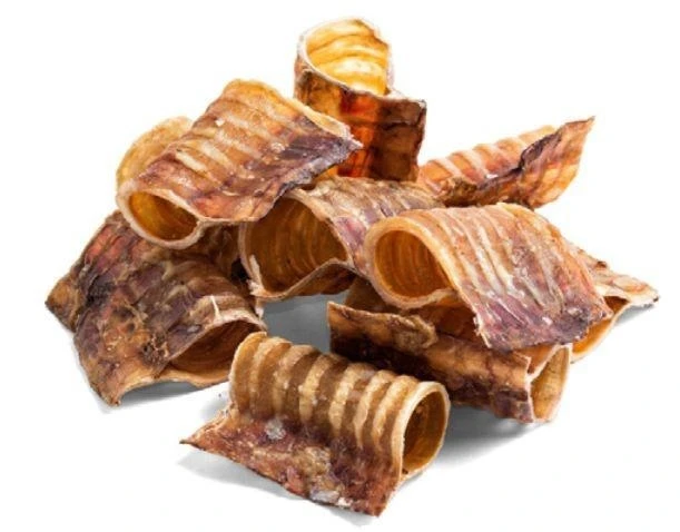 Trachea di Manzo Ferribialla 15 cm - Snack per Cane