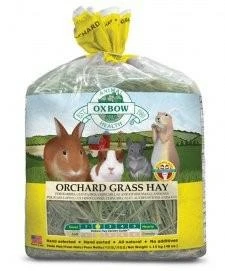 Oxbow Orchard Grass Hay 1,13 kg - Fieno per Roditori