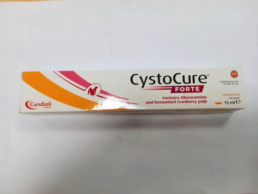 Cystocure Forte Siringa ML 15 - Candioli/Gainte
