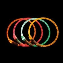 Trixie Anello Flash USB L/XL 65 cm Arancione
