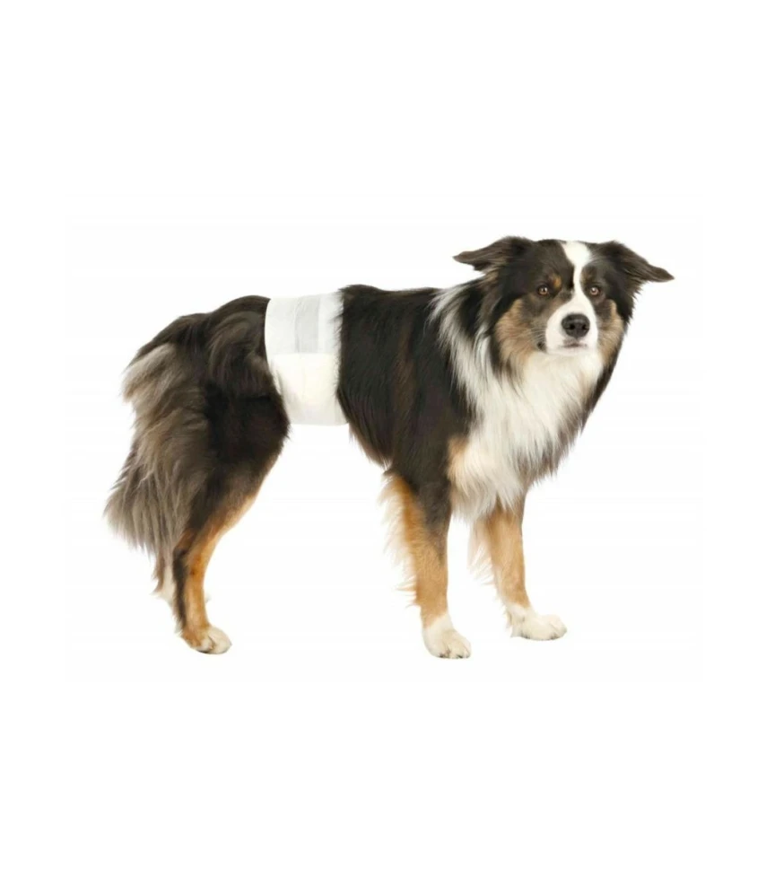 TX Pannolini a Fascia per Cani Maschi TG S-M - Trixie