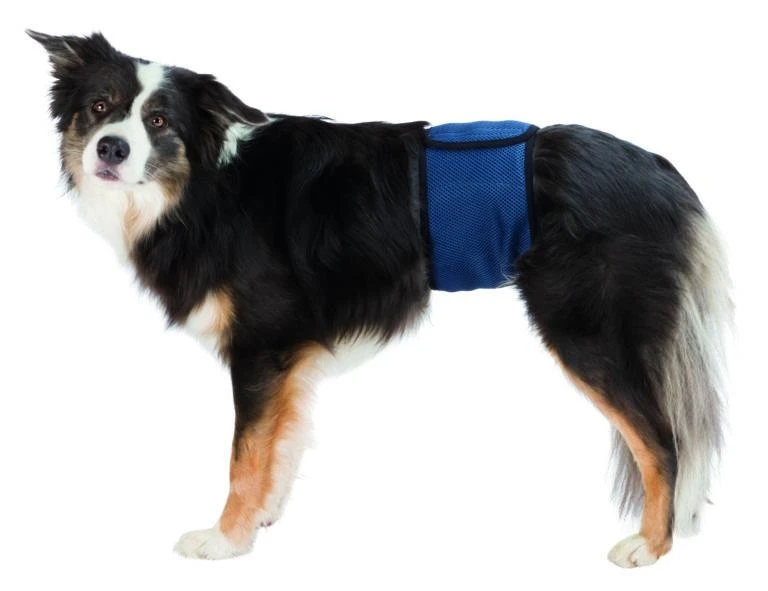 Fascia Igienica per Cani Maschi TG S/M Blu Scuro - Trixie