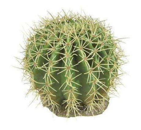 Cactus pianta finta terrario Ferplast