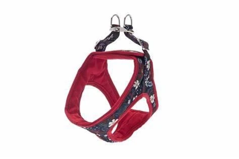 FERRIBIELLA Ettorina Kami S Rosso 37-45 per Cane