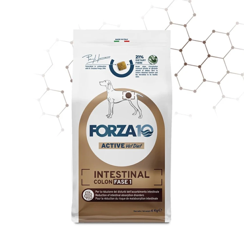 Forza10 Intestinal Colon Fase I Cane 4 kg