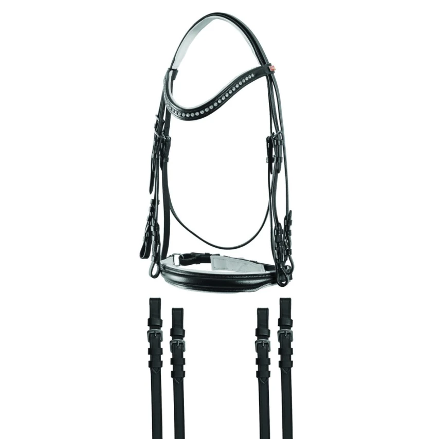 JM Briglia Dressage con Brillantini