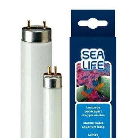 Lampada Neon per Acquario Marino Sealife T5/T8 Ferplast