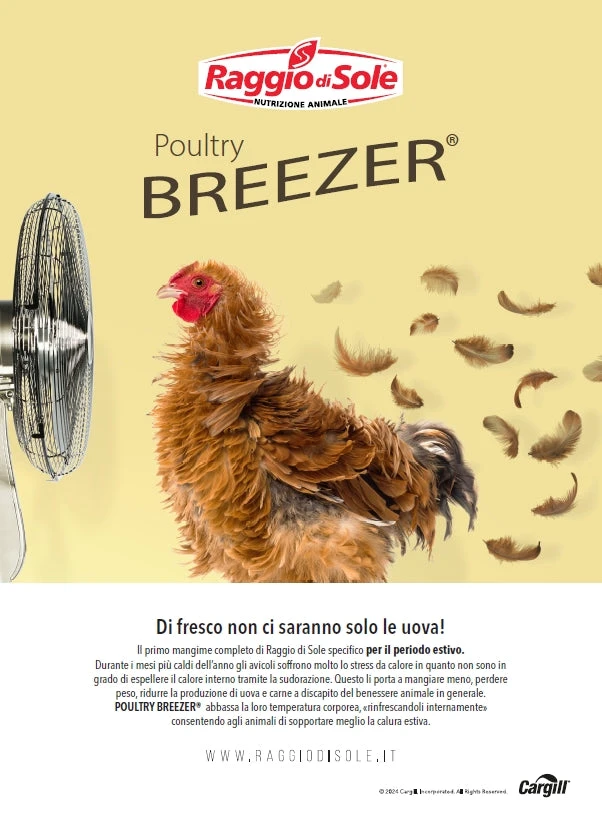 Mangime estivo per galline Poultry Breezer 20 kg Raggio di Sole