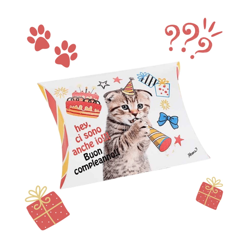 Mini Box Regalo Gatto Buon Compleanno