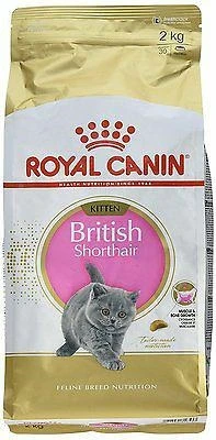 Royal Canin British Shorthair Kitten 2 kg - mangime secco