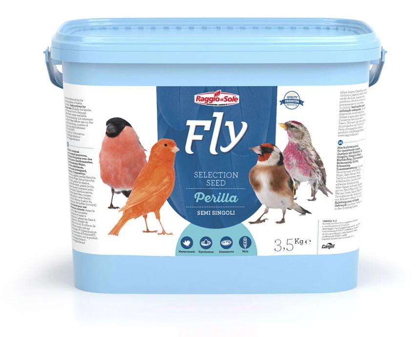 Semi di Perilla per volatili - secchio 3,5 kg - Fly Raggio di Sole