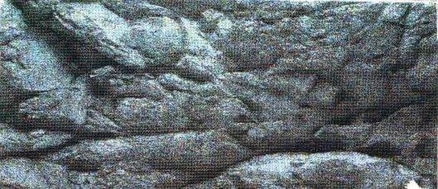 Sfondo acquario rocce in carta plastificata 150x48 cm - Askoll