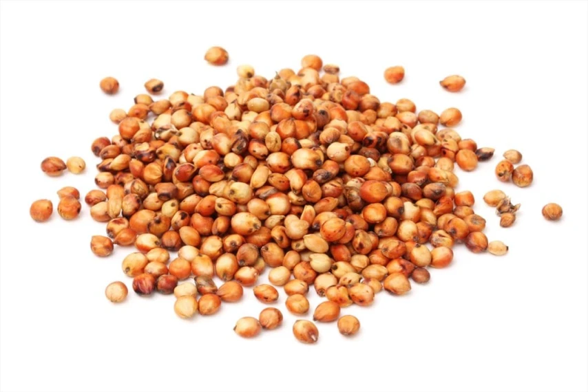 Sorgo Nazionale Cereale per Avicoli e Conigli