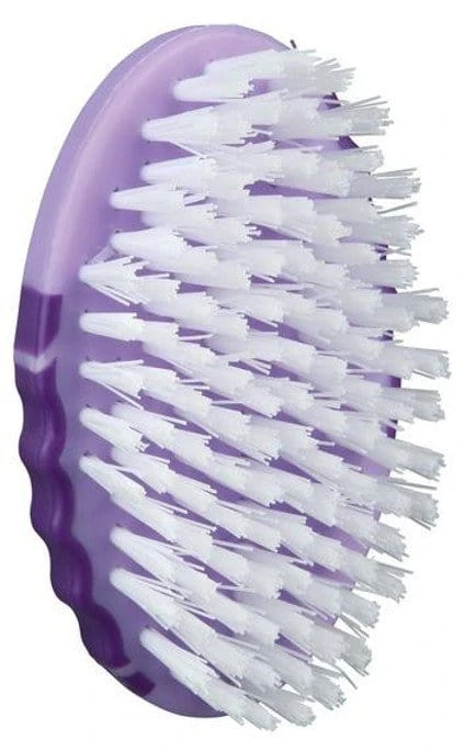Trixie Spazzola In Plastica Con Setole In Nylon Cm.6x10 - Per Roditori