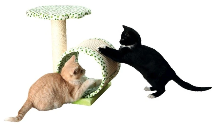 Trixie tiragraffi Calina per Gatti