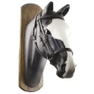 Attrezzatura per Horseball