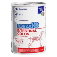 Forza10 Intestinal Colon Cane 390 g - Umido