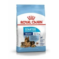 Royal Canin Maxi Starter Mother/Baby Dog 15 kg