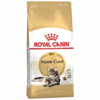 Royal Canin Maine Coon - Crocchette per Gatto