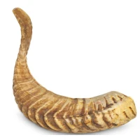 Corno di Montone M ARQUIVET - Snack per Cane (200g)
