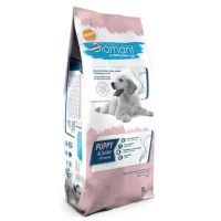 Diamant Dog Puppy Pollo - Cennamo