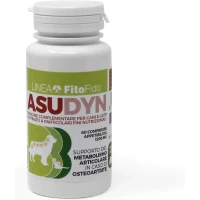 ASUDYN 60 Compresse - TREBIFARMA/GAPARA