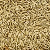 Avena Rossa per Animali