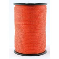 Banda elettrica 2 cm Power Energy - 200 m arancio