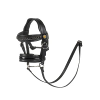Briglia in cuoio per Toy Horse Equestro con clincher argento - Unica Nero