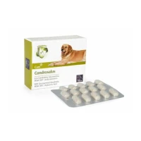 Camon Condrosalus 30 CPR - Integratore per Cani