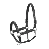 Cavezza in cuoio Equestro con fibbie satinate