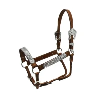 Cavezza Pool's Argenti in cuoio - stile Western