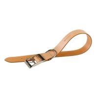 Collare Natural in Pelle per cane - Ferplast - Cuoio Naturale / C40/69= A