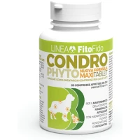 Condrophyto Maxi Tablet 60 x Gr 2 - Trebifarma